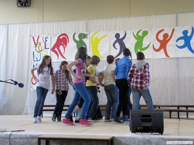 Veselje mladosti 2013