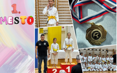 JU-JITSU: 1. TEKMA V PRIKAZOVANJU TEHNIK