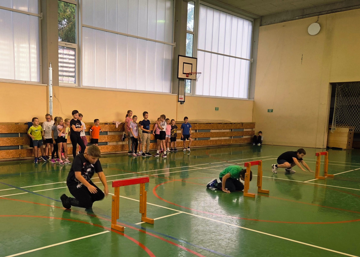 jpeg-optimizer_20251023_082033